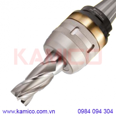 Đầu kẹp dao phay NT-NPM collet trụ DC Dinox